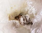 ブリのカレー竜田揚げ♡マヨポン酢ソース作り方2写真