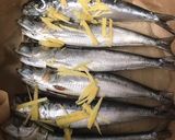 イワシの丸干しあっさり梅煮（圧力鍋使用）作り方3写真