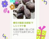 ✿冬が最適 自家製 干しシイタケ✿作り方13写真