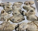 旬をいただく《2月》絶品！カキフライ作り方3写真