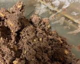 チョコ胡桃クッキー作り方3写真