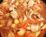ヨーグルト入りスープカレー作り方6写真