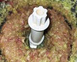 玉ねぎポークスープ水餃子作り方2写真