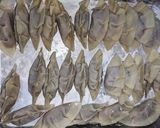 玉ねぎポークスープ水餃子作り方4写真