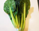 【簡単レンチン】小松菜（ほうれん草）お浸作り方1写真