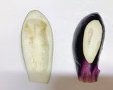 デュカでエスニックなナスの肉詰め作り方1写真
