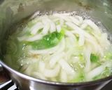 犬ご飯　白菜と鮭のとろとろ煮込みうどん作り方4写真
