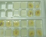 幼児食！簡単！製氷皿でバナナ牛乳寒天☆作り方5写真