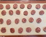 サクサク食感の♡チョコチップクッキー♡作り方17写真