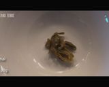 台湾豆乳スープ ・鹹豆漿シェントウジャン作り方3写真