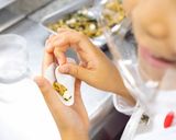 まごわやさしいギョーチャーハン(餃子)作り方4写真