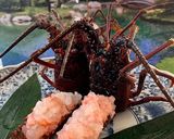 伊勢海老　姿造り作り方16写真