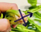 シンプルに美しく！ほうれん草のお浸し作り方3写真
