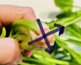 シンプルに美しく！ほうれん草のお浸し作り方3写真