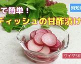 袋で簡単♫ラディッシュの甘酢漬け作り方6写真