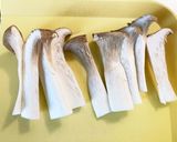 余ったお好み焼き粉ではさみ焼き！作り方2写真