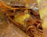 イカムンチ☆韓国のお惣菜作り方7写真