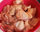 簡単唐揚げ２種(ニンニク&梅昆布茶味)作り方1写真