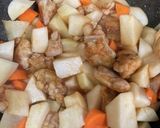 鶏肉と大根とにんじんのピリ辛煮物作り方3写真