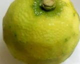 簡単！自家製　柚子胡椒作り方1写真