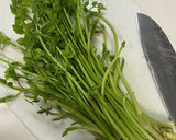 簡単おつまみ♩さっぱりとせりの鯖缶和え作り方1写真