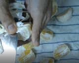 八朔ジュース（生搾り500mLくらい）作り方3写真