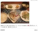 山菜☆コゴミとタラの芽の天麩羅☆作り方24写真