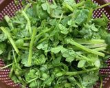 知らん草作り方2写真
