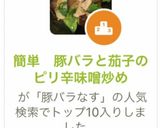 簡単　豚バラと茄子のピリ辛味噌炒め作り方9写真