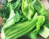 美味しい！生高菜のジャコ炒め作り方1写真