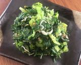 美味しい！生高菜のジャコ炒め作り方10写真