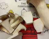 アイスプラントとエリンギのサラダ作り方1写真