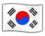 火を使わず簡単◎キム家の韓国式うずら煮卵作り方12写真