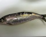 ニシンの捌き方 お刺身まで+α作り方1写真