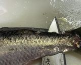 ニシンの捌き方 お刺身まで+α作り方8写真