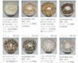 乾燥きのこと春野菜のオイスターソース炒め作り方2写真