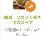 簡単　ワカメと長ネギのスープ作り方9写真