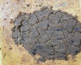 おからとオレオのバレンタインクッキー作り方7写真