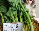 リカちゃん♡のらぼう菜ピーナッツおひたし作り方1写真