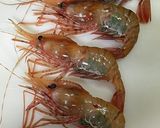 ボタンエビの捌き方(お刺身まで)作り方1写真