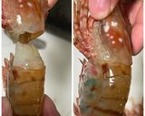 ボタンエビの捌き方(お刺身まで)作り方2写真