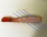 ボタンエビの捌き方(お刺身まで)作り方5写真