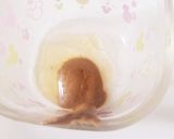 美味♡自家製冷し練りごま茶そば♡作り方6写真