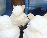 タヌキケーキ作り方6写真