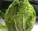 葉物(キャベツ、レタス、白菜など)の保存作り方6写真