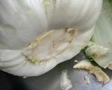 葉物(キャベツ、レタス、白菜など)の保存作り方8写真