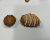 にんにくを効かせたカルボナーラ作り方1写真