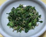 美味しい！生高菜のジャコ炒め作り方11写真