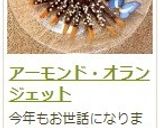 アーモンド・オランジェット作り方28写真