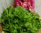 リカちゃん♡ヤリイカわさび菜にんにく醤油作り方2写真